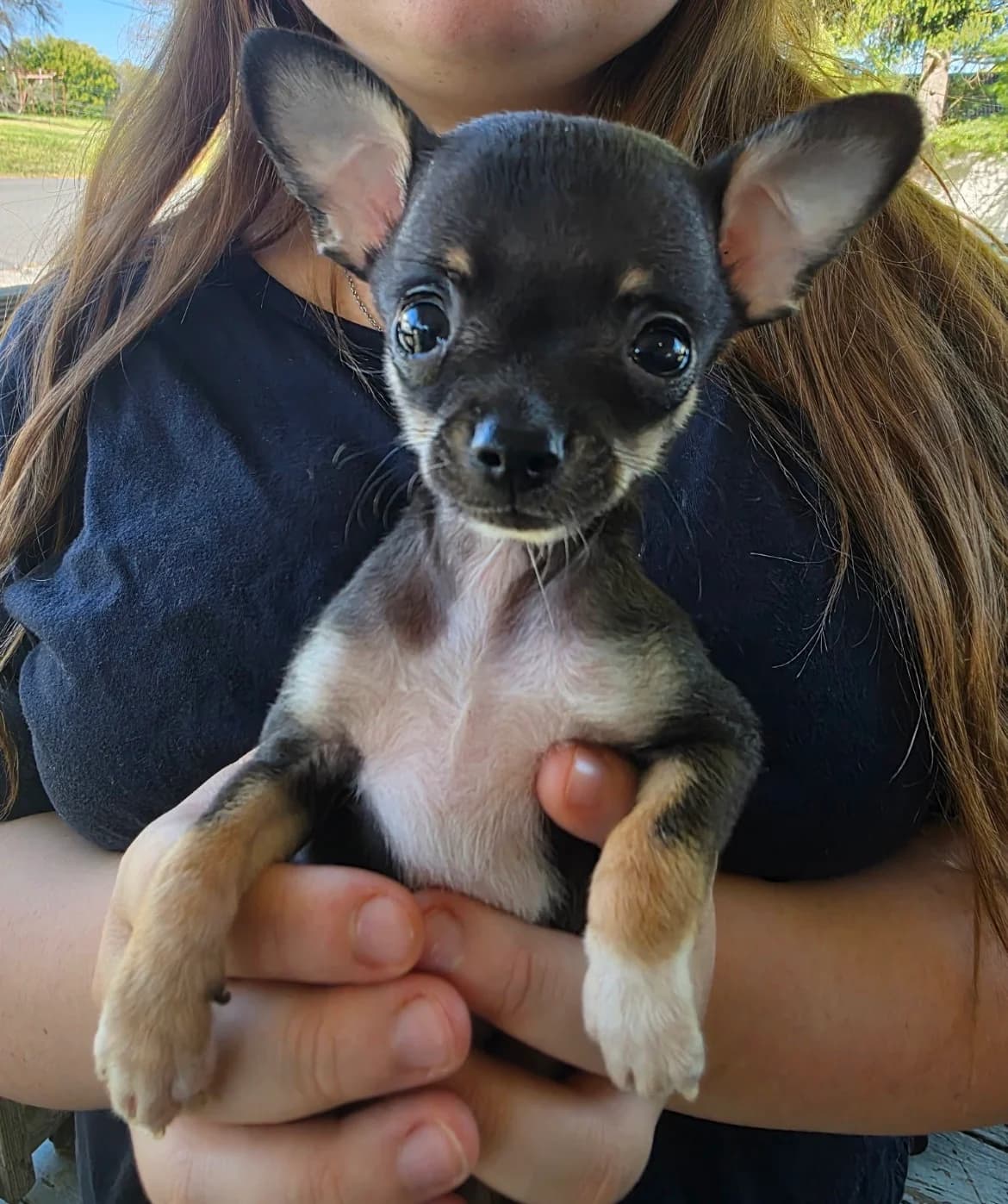 Rosco, photo 1